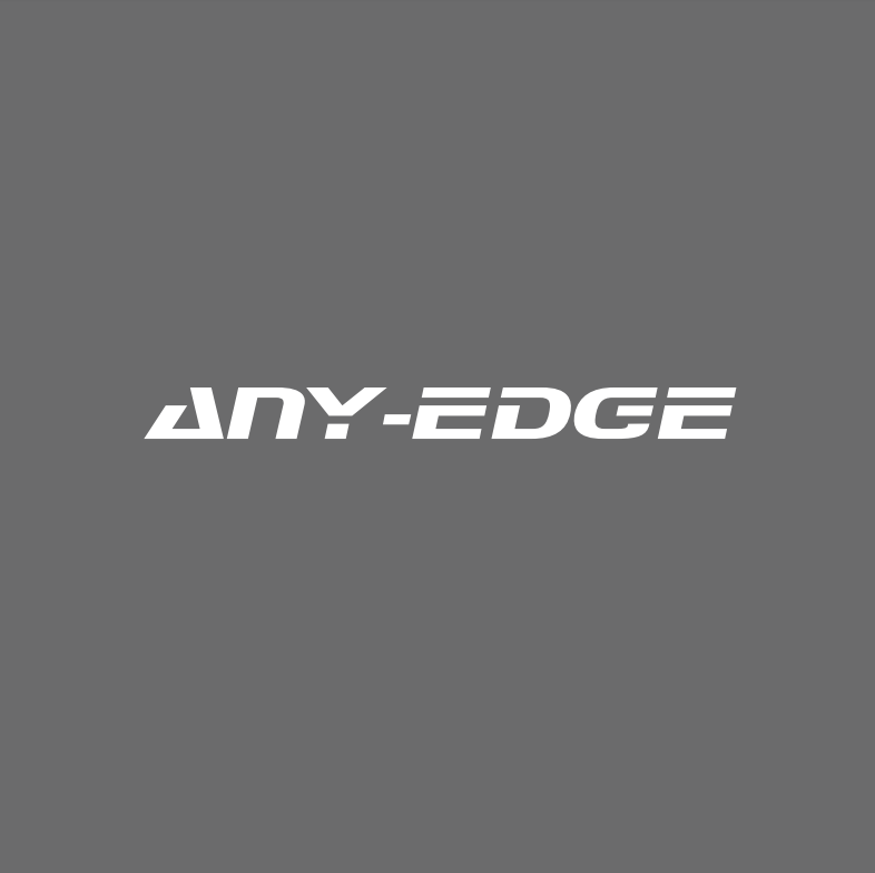 Any-Edge Inc. Logo