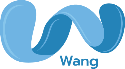 Wang: Data Market (K.G. and Patrick Co., Ltd.) Logo