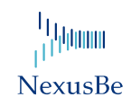넥서스비 Logo