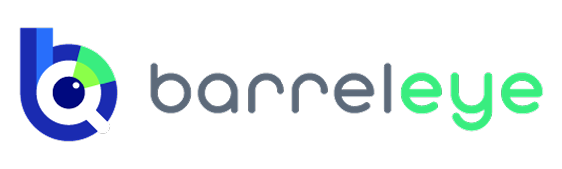 주식회사 배럴아이 / Barreleye Inc. Logo