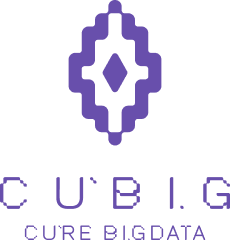 주식회사 큐빅 / CUBIG.AI Logo