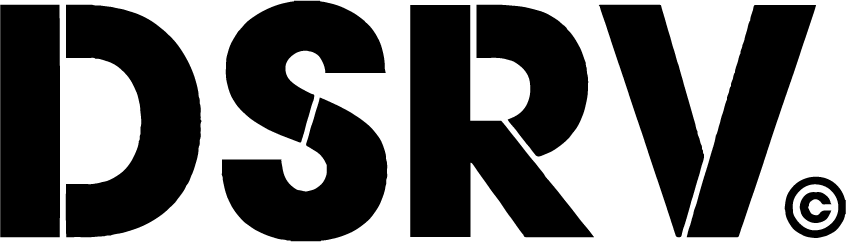 주식회사 디에스알브이랩스 (dsrv labs Co., Ltd.) Logo