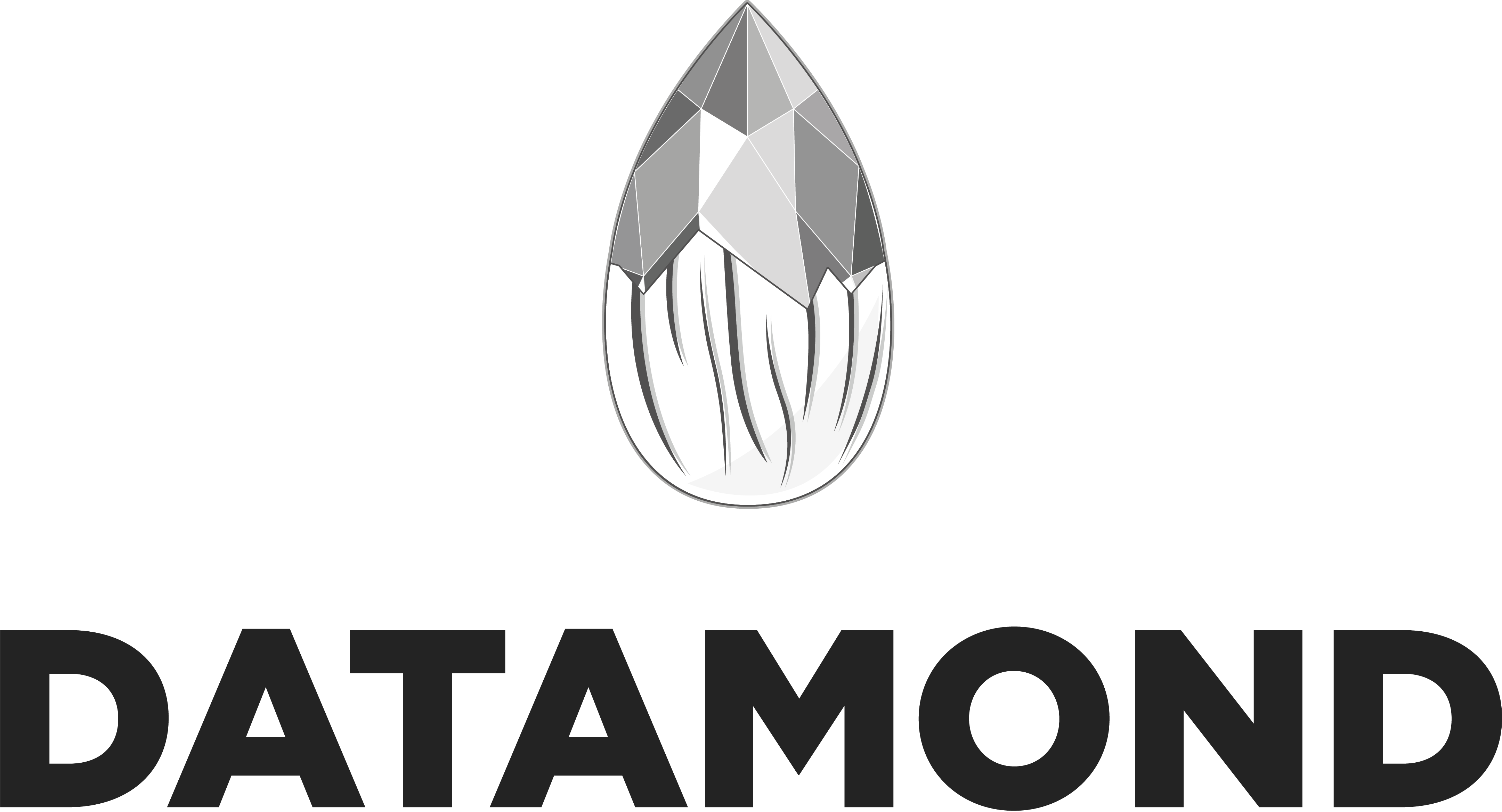 데이타몬드 Logo