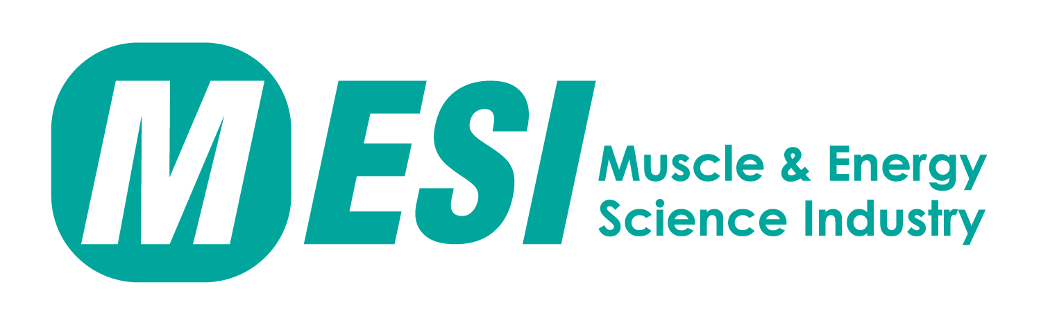 메시 Logo