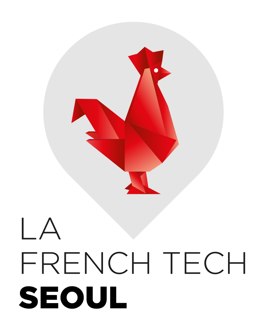 Team France Logo