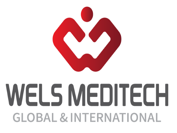 웰스메디텍/ Welsmeditech Logo